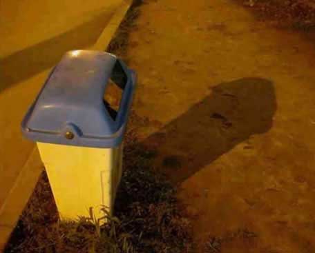 Dodgy Bin Shadow