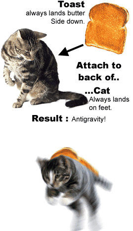 Anti Gravity Cat