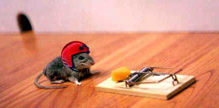 Mousetrap