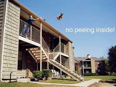 No Peeing Inside