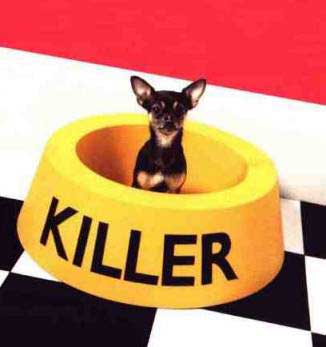 Killer Dog