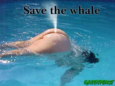Save the whale