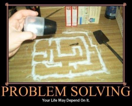 Problem Solving