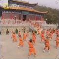 Real Kung Fu