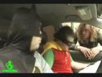 Batman & Robin Get Lost