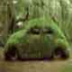 Camouflaged Car