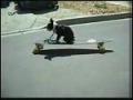 Doggy Skateboarding Fail