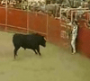 New Way To Bullfight